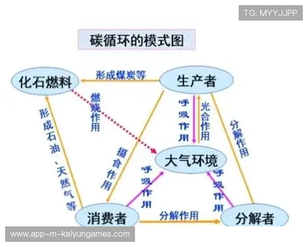 生态结构持续完善（448 ）