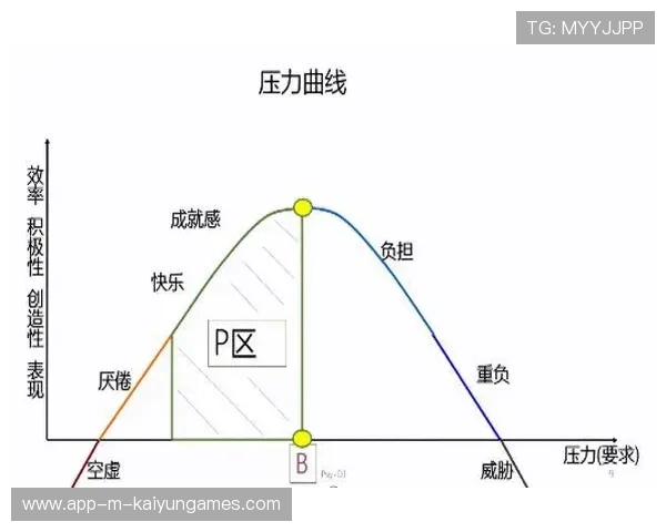 职业选手心理压力应对策略与辅导